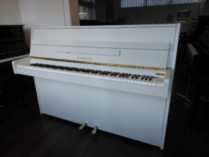 DSCN3489
